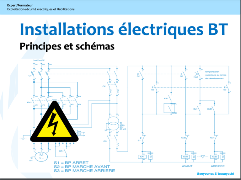 Installations Lectriques Bt Principes Et Sch Mas